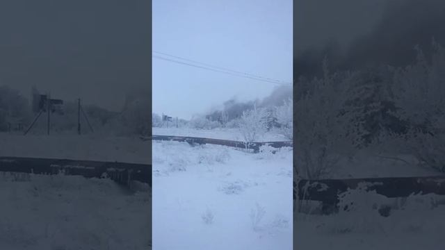 Когда тебя травят. Все на благо народа. смотреть онлайн