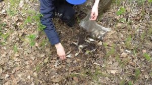 Колин улов на жарёху .Канал Таёжная обитель Николая Абоимова