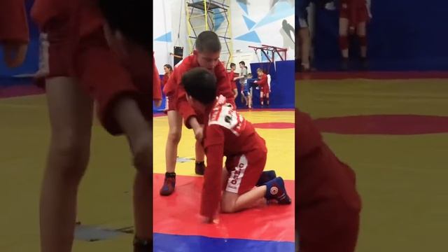 День борьбы#самбо#спорт#брат#тренировка#самбисты? смотреть онлайн