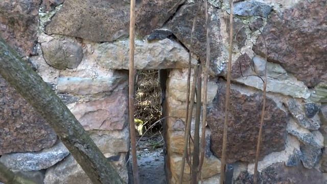 Врёвское и Череменецкое озёра.Мотопутешествие часть 1. смотреть онлайн