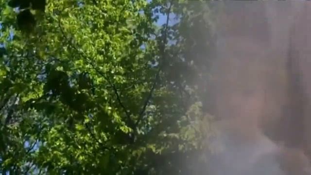 слайд шоу Вальс из к/ф "Мой ласковый и нежный зверь" смотреть онлайн