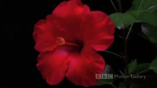 Test Upload via Java on Sun Aug 09 10:41:33 IDT 2015 смотреть онлайн