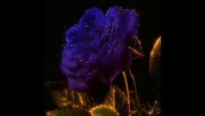 Пусть Всегда на Земле Расцветают Цветы!  Песня- МОЛИТВА.