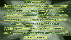К чему снятся мухи