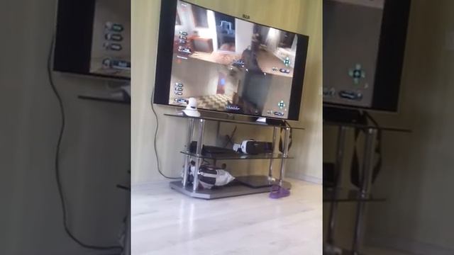 Играю с другом в приставку всё игра смотреть онлайн