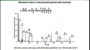 Гликирование лизиновых аминокислотных остатков сывороточного альбумина человека