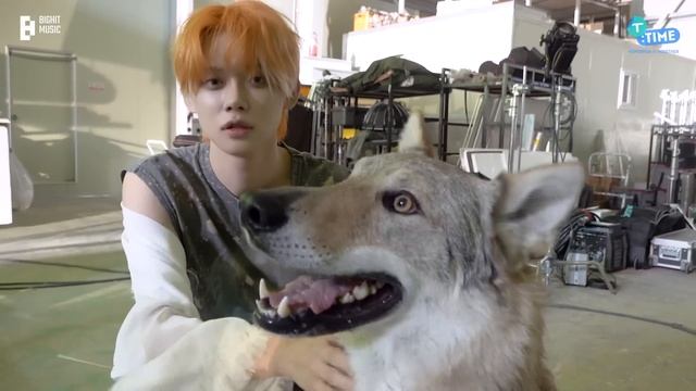 [T:TIME] Doggo Lovers X TOGETHER - TXT (투모로우바이투게더)