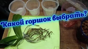 Как выбрать горшок