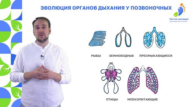 Видеоурок № 10 - 24: Биоразнообразие