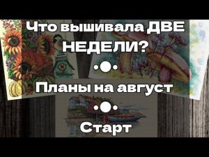 161. Продвижения за ДВЕ НЕДЕЛИ | Летние старты | План на август | Вышивка крестом