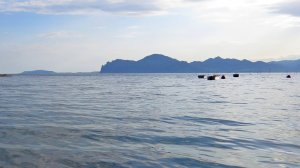 Вечерняя морская нега.