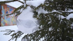 Просто зима