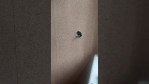 Из одной розетки делаю пять.