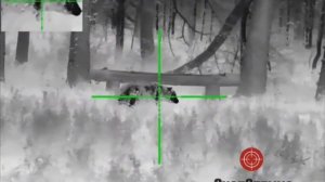 #охота на #bear с тепловизором #guide  TU650