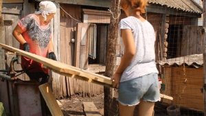 калитка для курятника