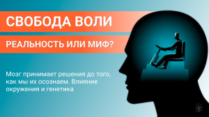 Свобода воли: миф или реальность? Как вера в свободу воли противоречит законам физики