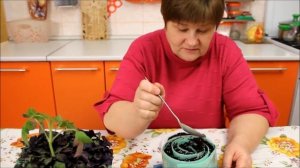 Базилик выращивание из семян в улитке.