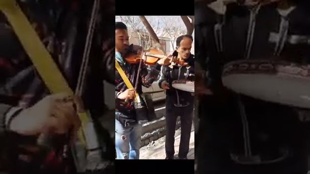 موسیقی خیابانی شاد موسيقى موزیک موسیقی_زنده  music