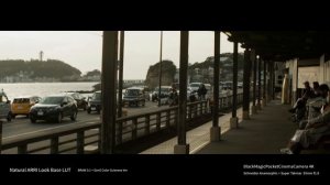 Black Magic Pocket Cinema Camera BMPCC 4K Gen5 Color Natural ARRI Look Base LUT Test footage