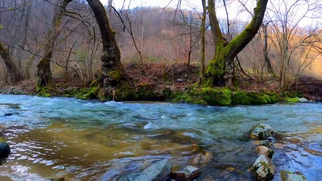 Глоток Свежего Воздуха!?? смотреть онлайн