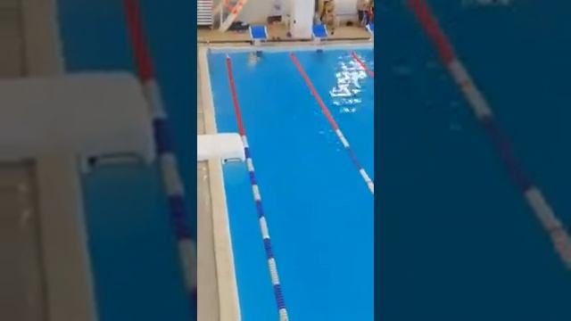 Соревнования по плаванию смотреть онлайн