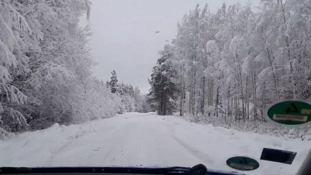 Едем в лес!!!???/ЗИМНЯЯ СКАЗКА!!!❄☃️?#benita_life_vlog #зимавдеревне #жизньвдеревне смотреть онлайн