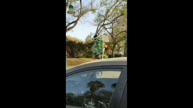 26🪢Птичка певчая. смотреть онлайн