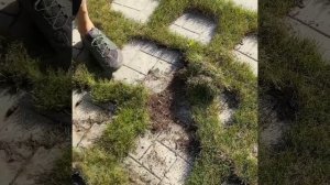 Видео от подписчика