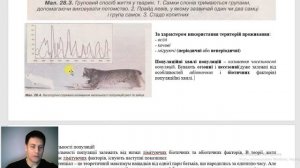 Лекція №7. Особливості популяцій. Угрупування живих організмів. Біоценоз, екосистема, біогеоценоз