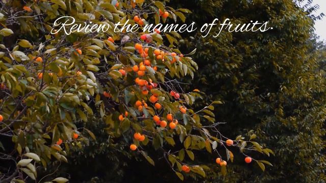 Review the names of fruits | Learn American English vocabulary | Reading and Listening skills ✅ смотреть онлайн