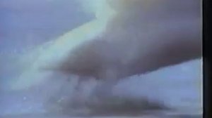 Реклама KLM с лебедем