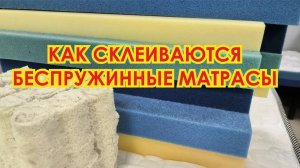 Клей и беспружинные матрасы.