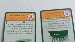 Как играть в Эволюцию Время Летать, Континенты и Растения одновременно. Особые правила