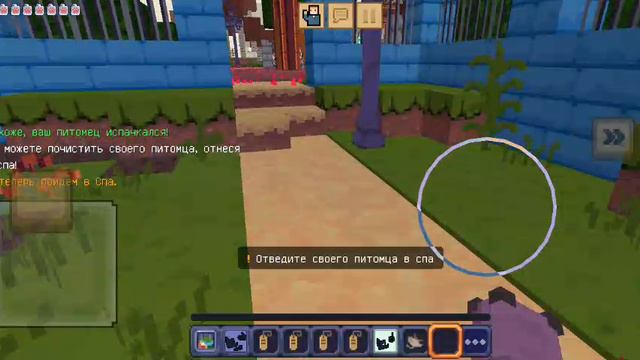 1000005798.mp4 смотреть онлайн