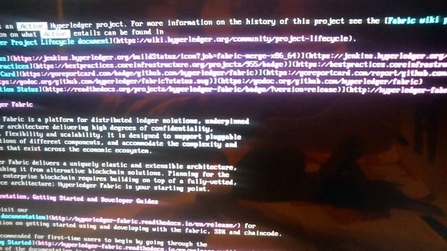 Arch Linux blockchain development Hyperledger смотреть онлайн