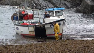 Fishing Boat Silver Queen Cadgwith Cove Cornwall May 2022. Landing crabs and lobsters.