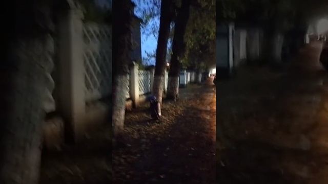 О детских учреждениях, травмоопасных зданиях на их территории, и о весьма сомнительном... смотреть онлайн