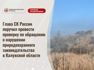 Глава СК России поручил провести проверку по обращению о нарушении природоохранного законодательства