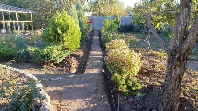 Купил #секатор #цены #подготовкаучастка под #асфальт #город61 #обзор #садогород #садогород