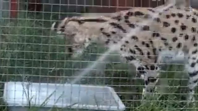 Брачный период - начало! Домашний сервал. смотреть онлайн