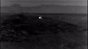 Охота на волка с манком 2020 г.