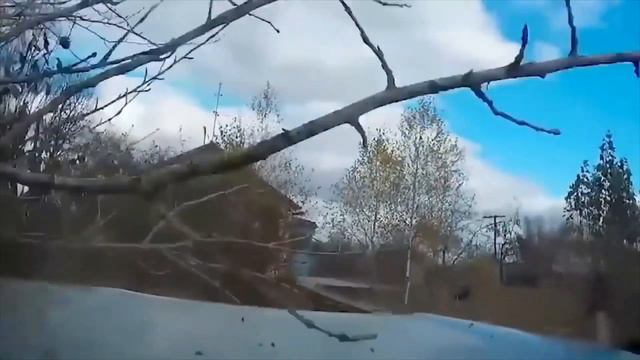 Быдло на дороге получает подборка. Опасные БЫКИ и БЫДЛО на дорогах, fools on the Russian roads # 19 смотреть онлайн