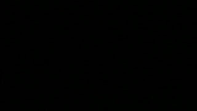 Sicalis Flaveola Brasiliensis. смотреть онлайн