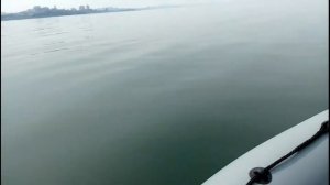 Admiral AM320S. Suzuki DF9.9AS. Обкатка