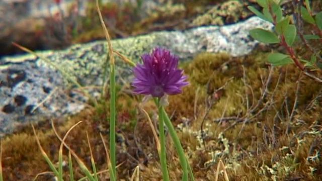 Западный Саян (Хакасия) часть 6 смотреть онлайн