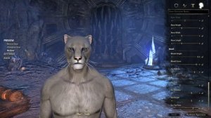 TESO Character creation Khajiit/ Создание персонажа Каджит