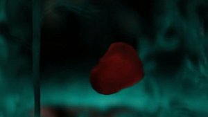 Дракула История Любви - Свет моей души (Клуб Романтики)