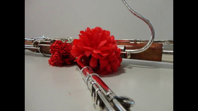 Duo Almira- Besame mucho ( Flute Basson cover) смотреть онлайн