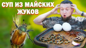 Да как это вообще можно есть?! Приготовил суп из майских жуков!