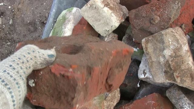 Грызун и Везун